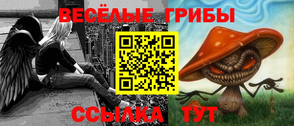 Галлюциногенные грибы GOLDEN TEACHER Азов