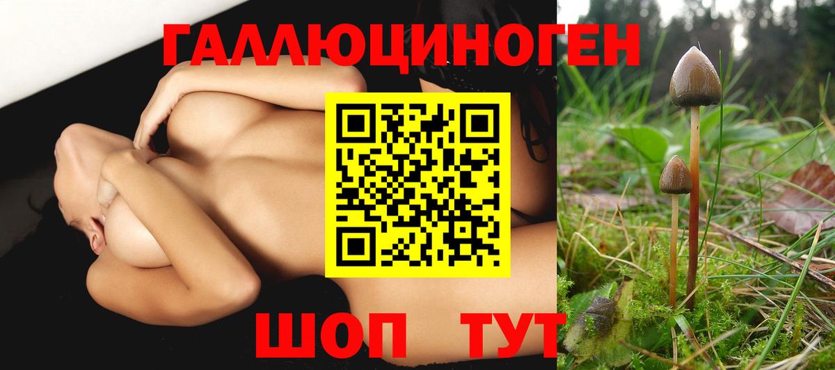 Псилоцибиновые грибы GOLDEN TEACHER  Псилоцибиновые грибы Psilocybe  Азов  Вход с VPN 